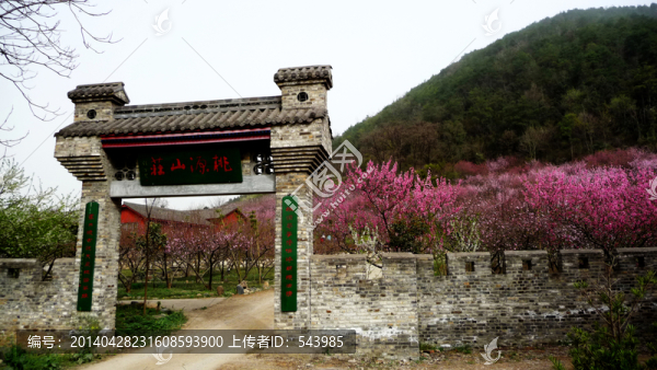 桃花源