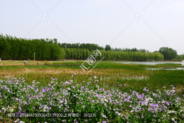 北京長(zhǎng)溝濕地景色