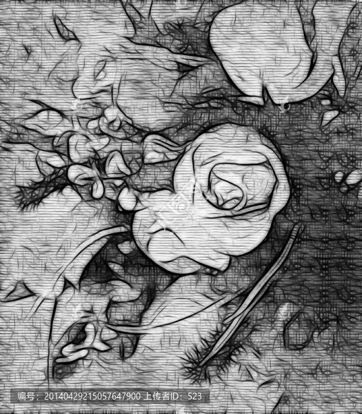 花裝飾畫