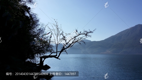 湖美景