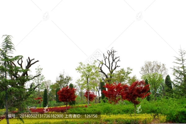 清新園林園藝設計