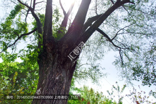 藍天白云