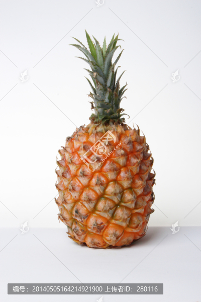 菠蘿