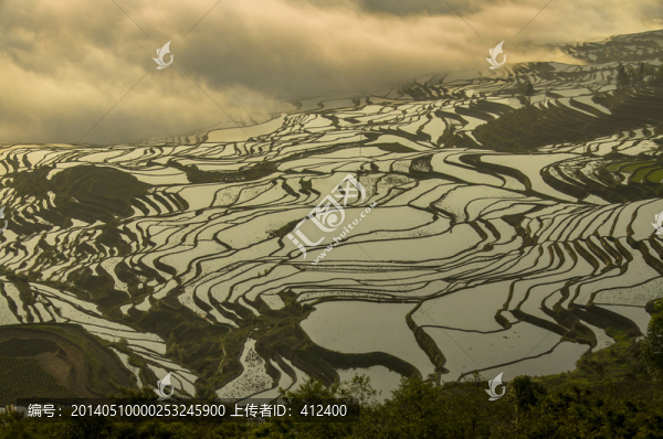 元陽梯田