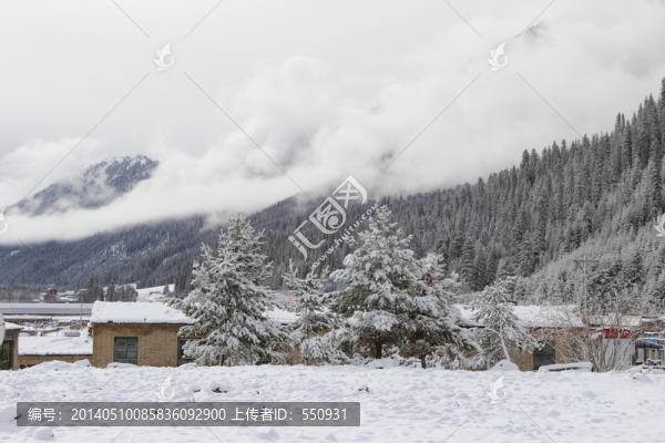 鞏乃斯林場(chǎng)雪景