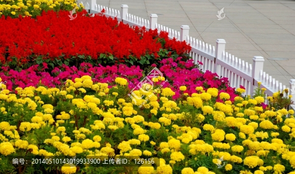 園林