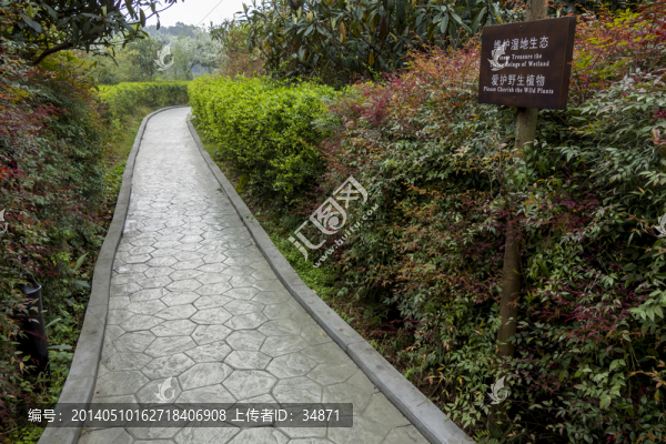 公園道路