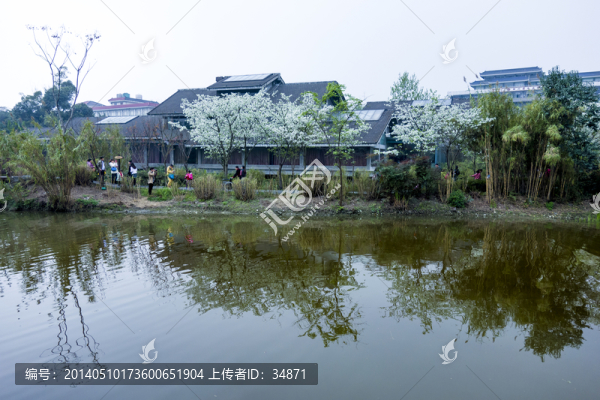 春色