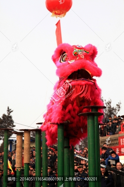 南獅俯臥梅花樁