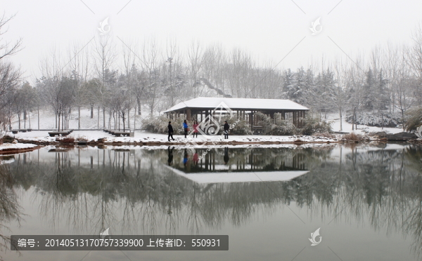 鄭州大學(xué)雪景