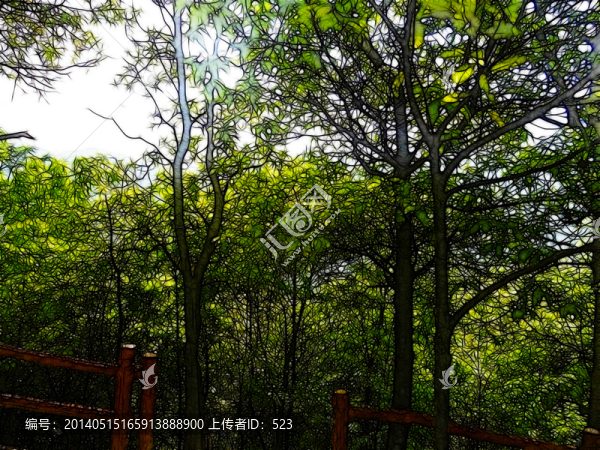 園林風(fēng)景