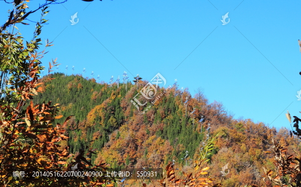 欒川龍泉山公園