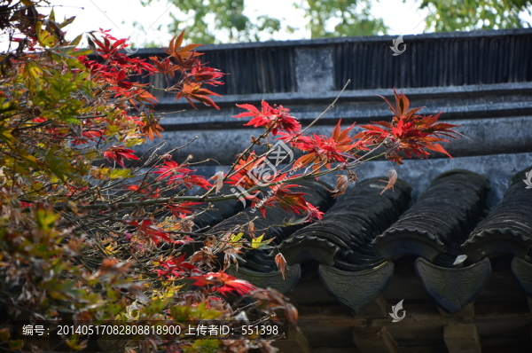 屋檐,古建筑,同里