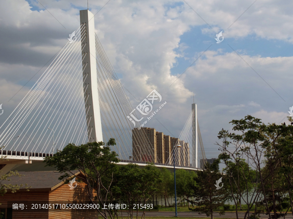 沈陽富民橋,拉索橋