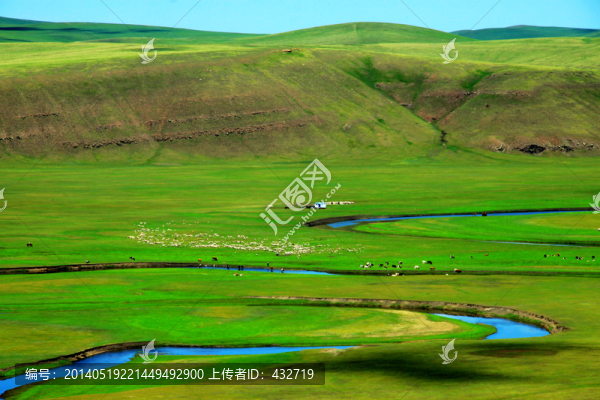 呼倫貝爾草原牧場,河流,羊群