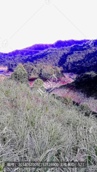 山脈叢林