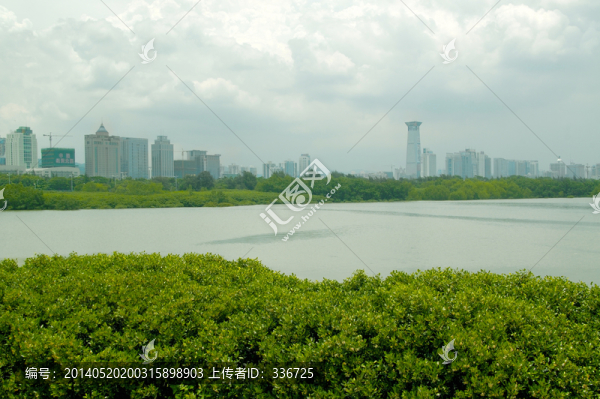 深圳福田紅樹林保護(hù)區(qū)