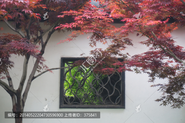 揚州何園