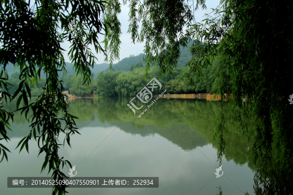 湖畔春景