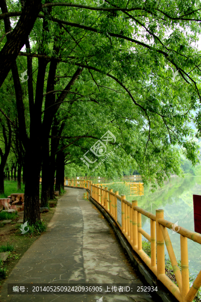 林蔭道