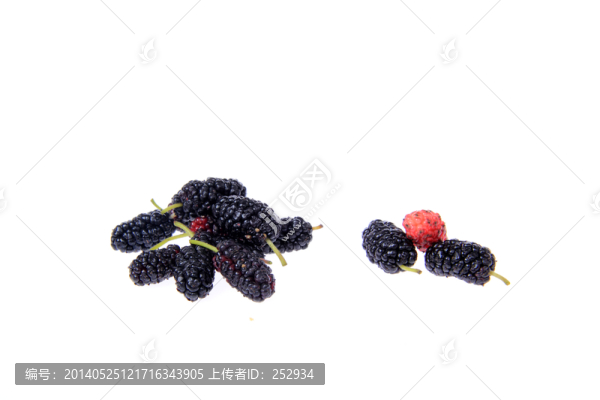 桑仁