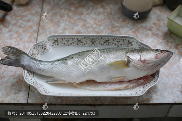鱸魚(yú)