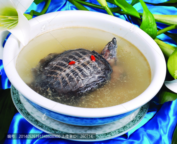 清燉甲魚