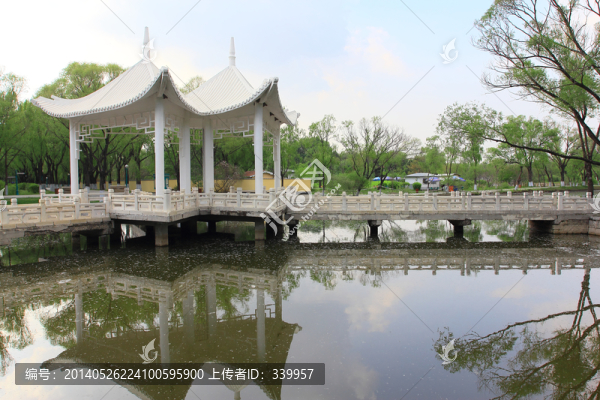 天鵝湖