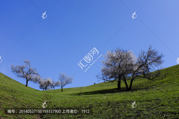 綠山坡