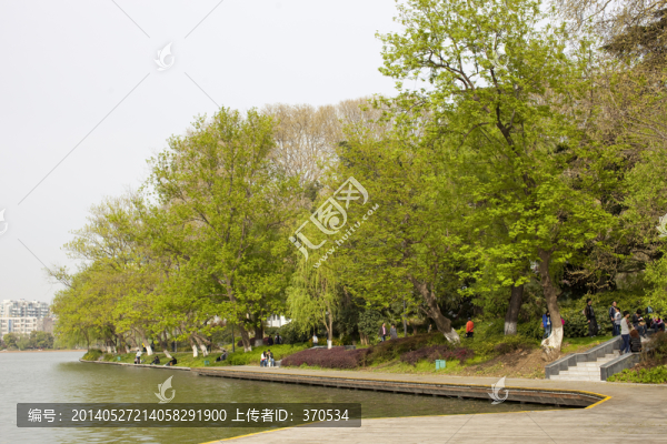 南京,玄武湖,休閑場所,水面