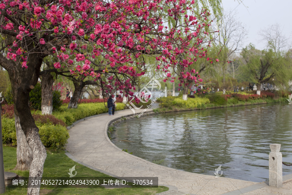南京,玄武湖,休閑場(chǎng)所,水面