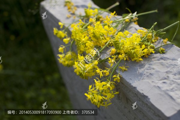 清明節(jié),掃墓,祭祀,鄉(xiāng)村,民俗