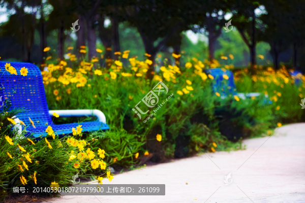 公園春爛漫（高清）