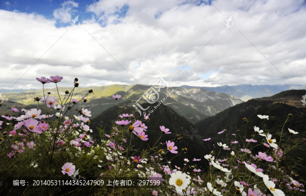 香格里拉
