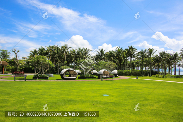 酒店草坪園林