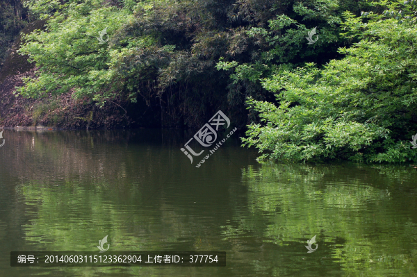 池塘