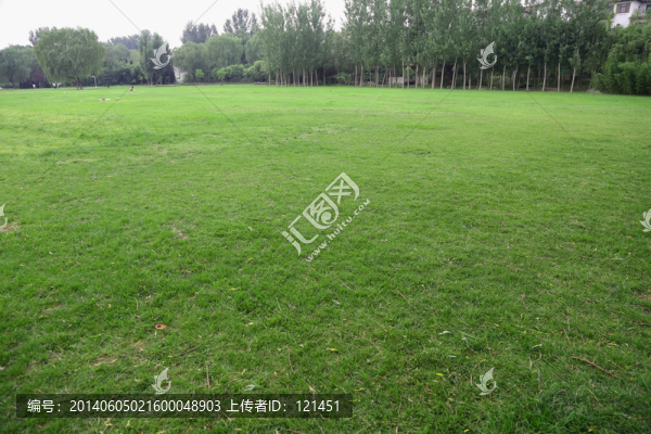 草地,綠地,草坪