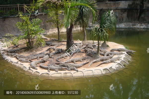 深圳西麗野生動物園