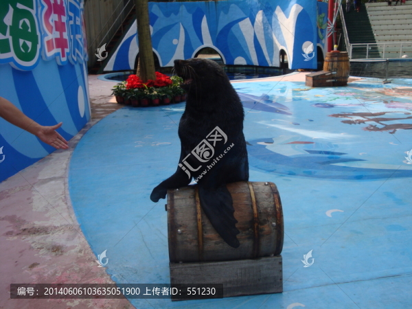 深圳西麗野生動物園