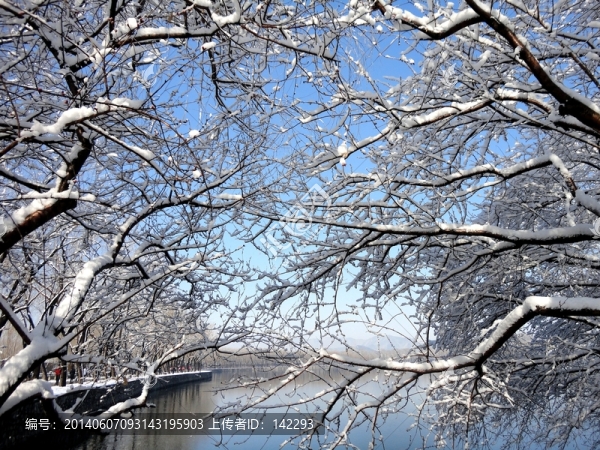 頤和春雪