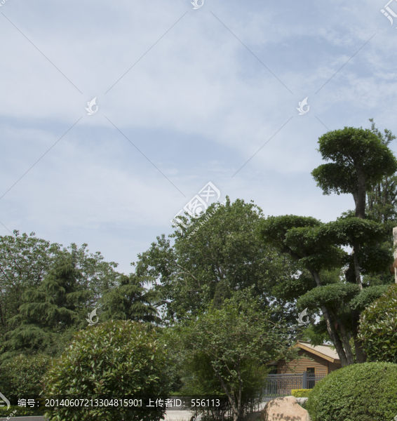 公園中的風(fēng)景