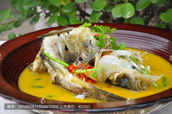 農(nóng)家雄魚(yú)