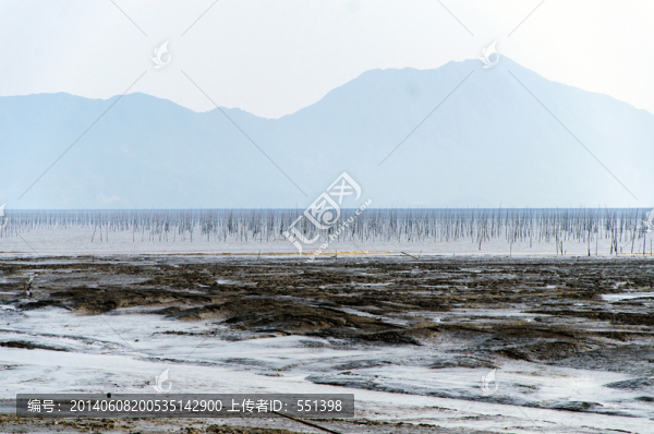 灘涂,大海,北岐