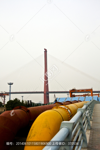 上海,浦東,楊浦大橋,城市建筑