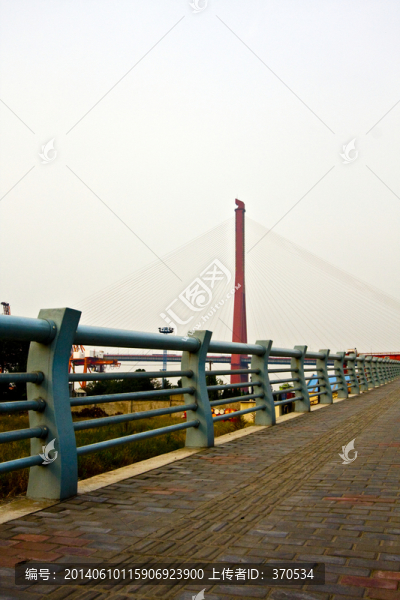 上海,浦東,楊浦大橋,城市建筑