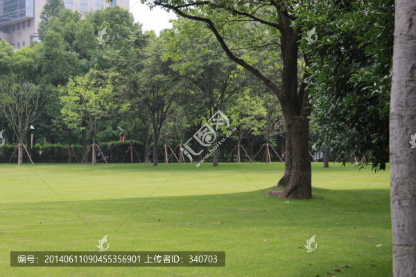 綠地