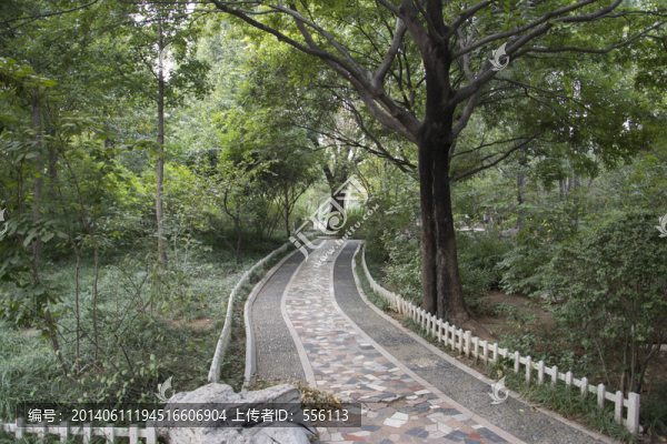 公園里石頭鋪成的小路