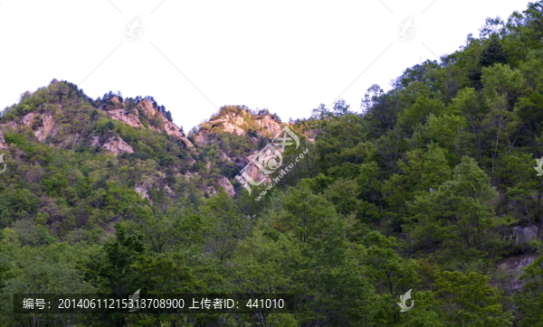 老界嶺風(fēng)光