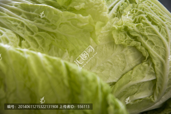 白菜的紋理細節(jié)
