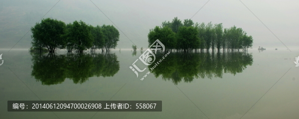 大渡河中的樹,一道美麗的風(fēng)景線